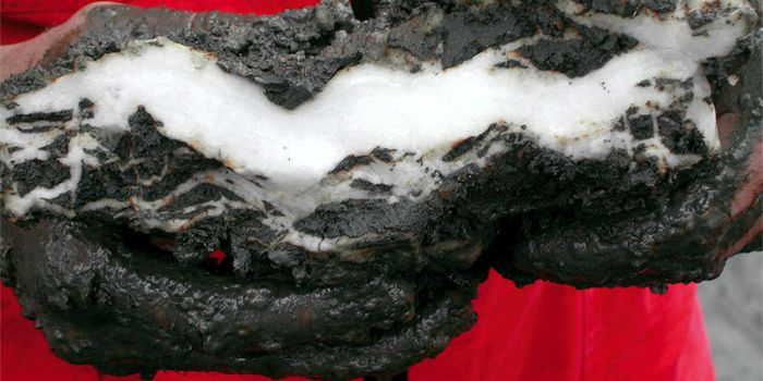 Кусок гидрата метана, найденный учеными США у побережья Орегона. USGS