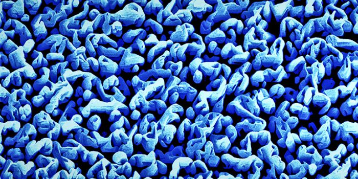 Цветное электронно-микроскопическое изображение показывает башни из нитрида галлия в устройстве искусственного фотосинтеза при увеличении 25k. Эти наноструктуры разрывают молекулы воды на водород и кислород. (Фото: Факрул А. Чоудхури/МакГилл)