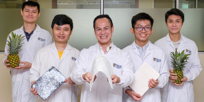 Доцент Дуонг Хай-Минь (в центре) и его команда из NUS Mechanical Engineering разработали методику преобразования волокон листьев ананаса в сверхлегкие биоразлагаемые аэрогели. Предоставлено: NUS